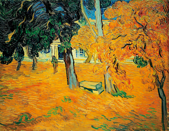  文森特·威廉·梵高  Vincent Willen Van Gogh —— 圣保罗医院的公园 (5)